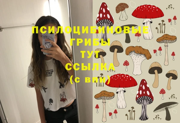 соль ск Костерёво