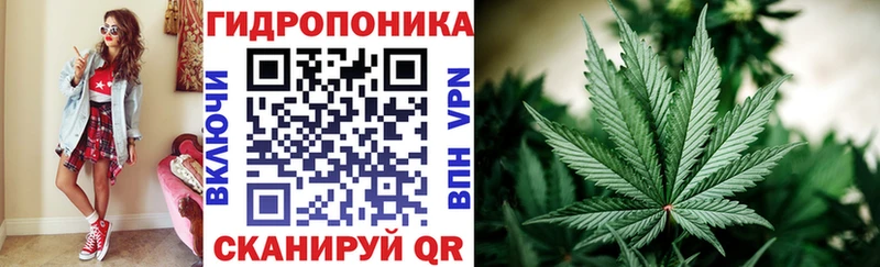 Купить закладки  Шацк  Канабис MAZAR 